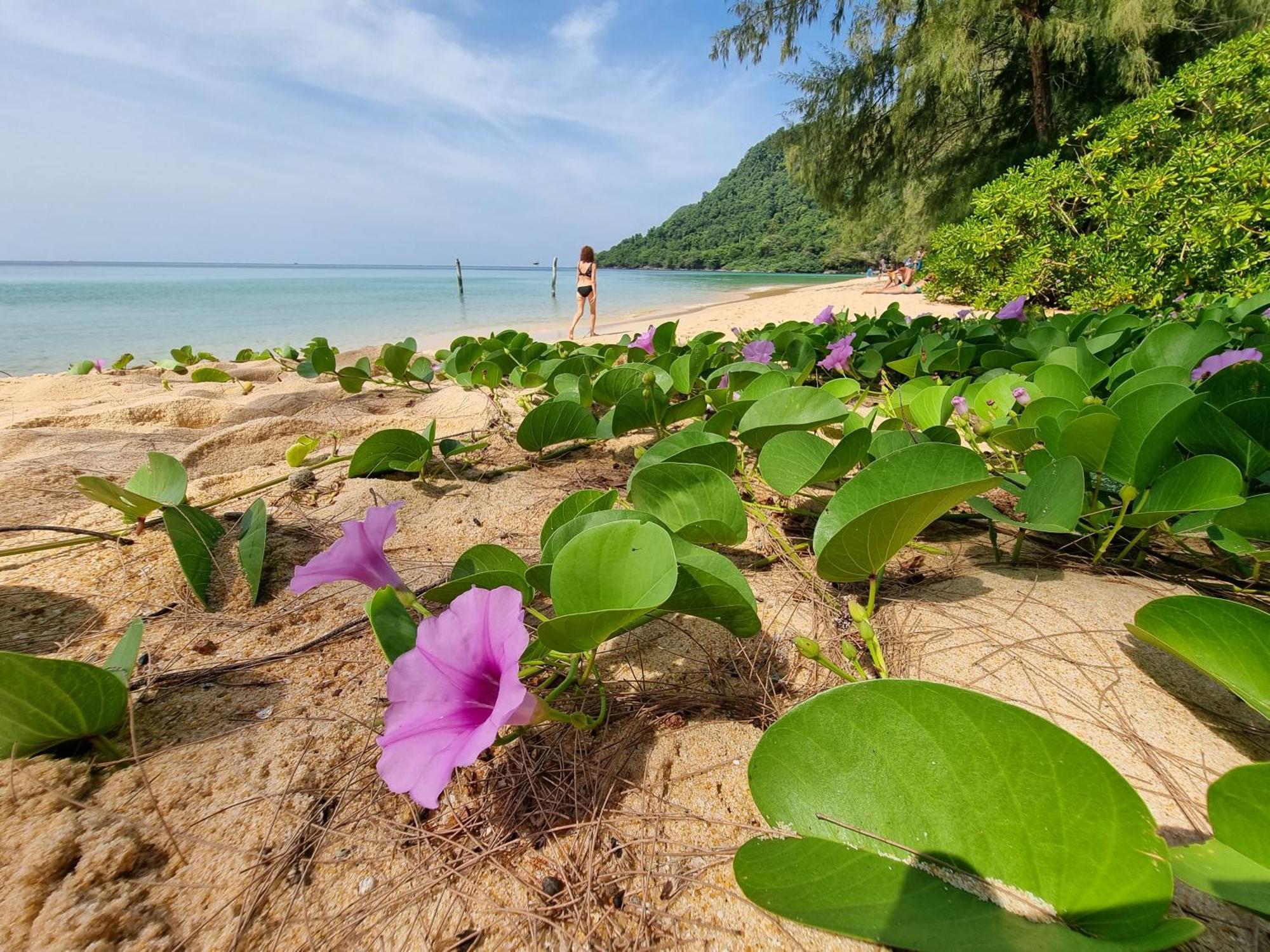 Sunboo Beach Bungalows Koh Rong Sanloem Exterior foto